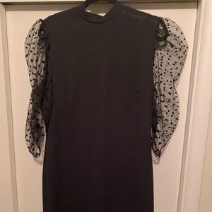 Puffed Sheer Sleeved Black Dress